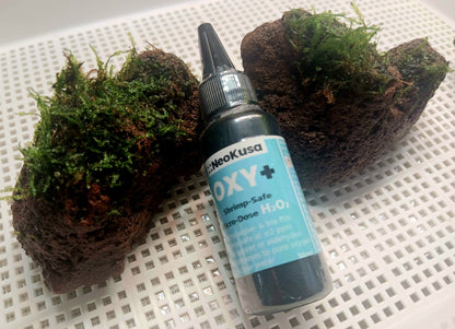 NeoKusa Oxy+ algae treatment bottle angled view